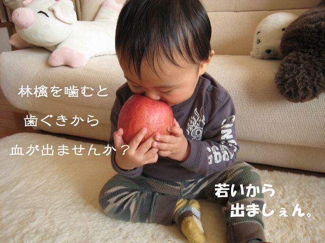 a0090451_2111728.jpg