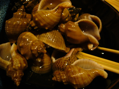 f0067354_1148559.jpg