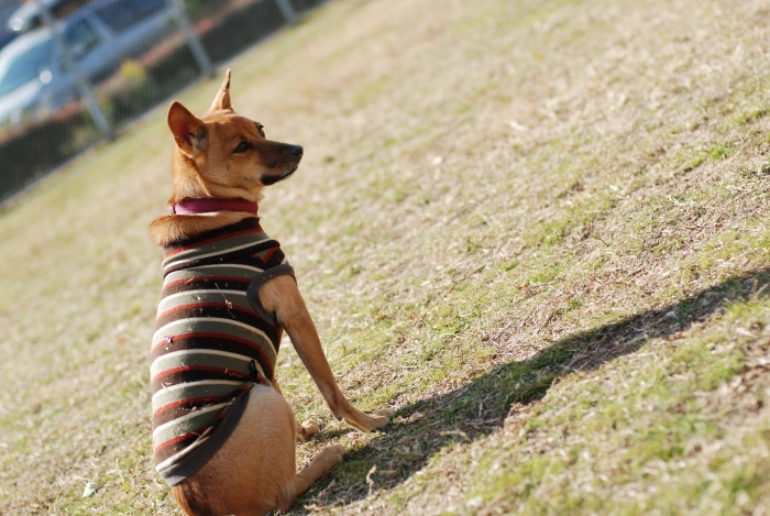 c0123759_0381376.jpg