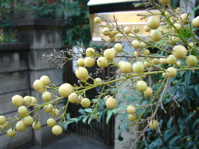 b0061261_22182689.jpg