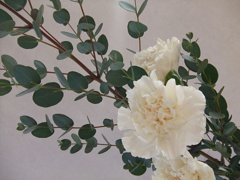 c0107861_18213668.jpg