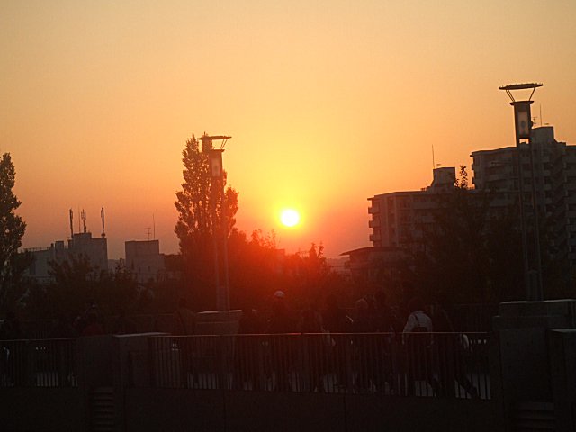 a0015766_22414418.jpg
