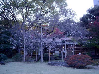 e0097770_23501351.jpg