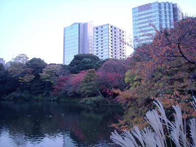 e0097770_23505352.jpg