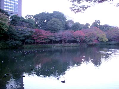 e0097770_23524086.jpg