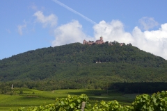 f0059671_21501714.jpg
