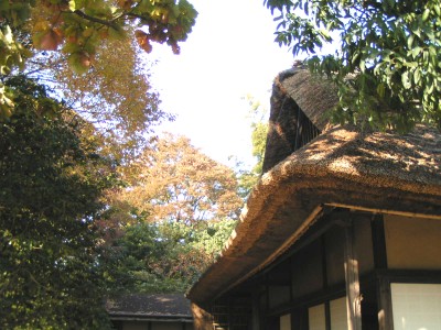 c0112172_21515758.jpg