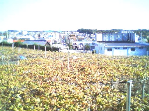 e0031572_10191846.jpg