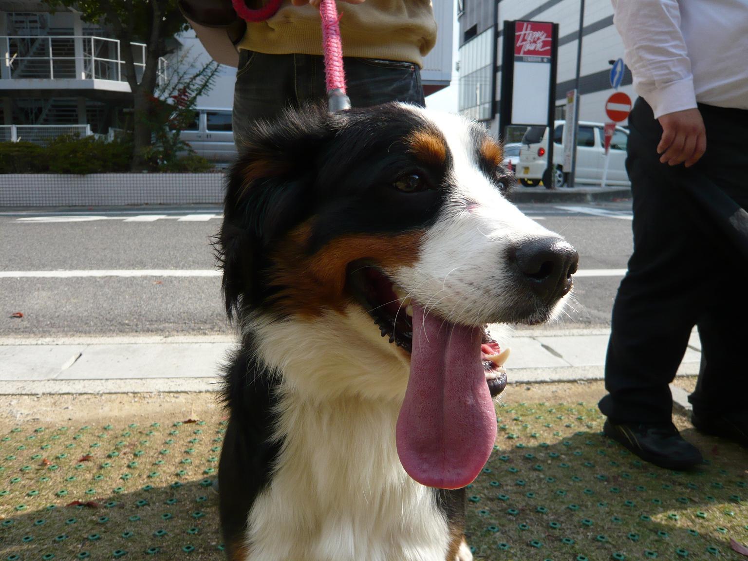 f0126278_07374.jpg