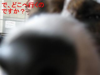 e0121589_16505986.jpg