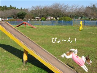 e0121589_176477.jpg