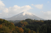 b0114392_1694010.jpg