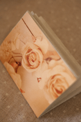 d0100192_17274471.gif