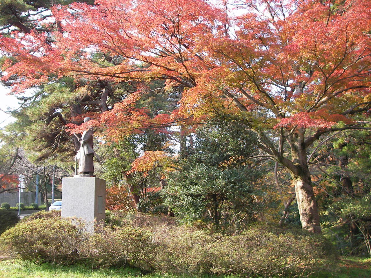 f0100593_13344119.jpg