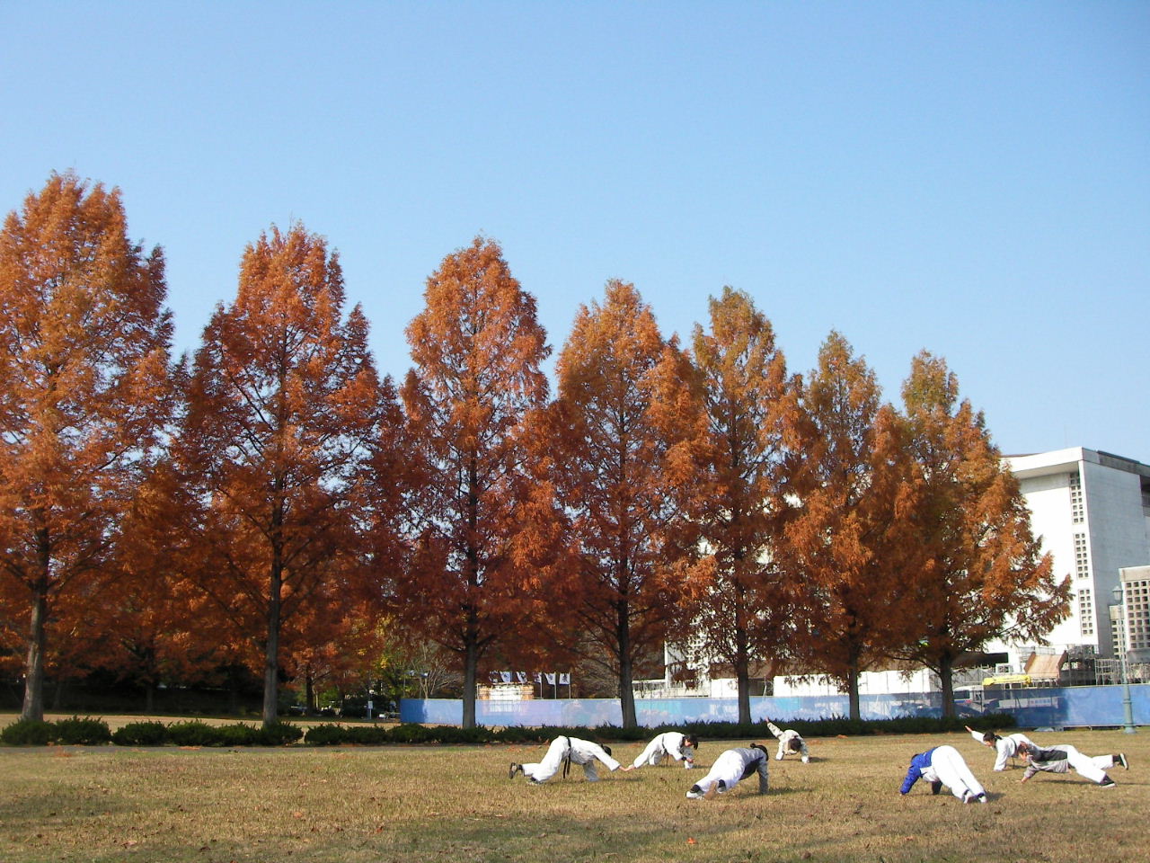 f0100593_2022412.jpg