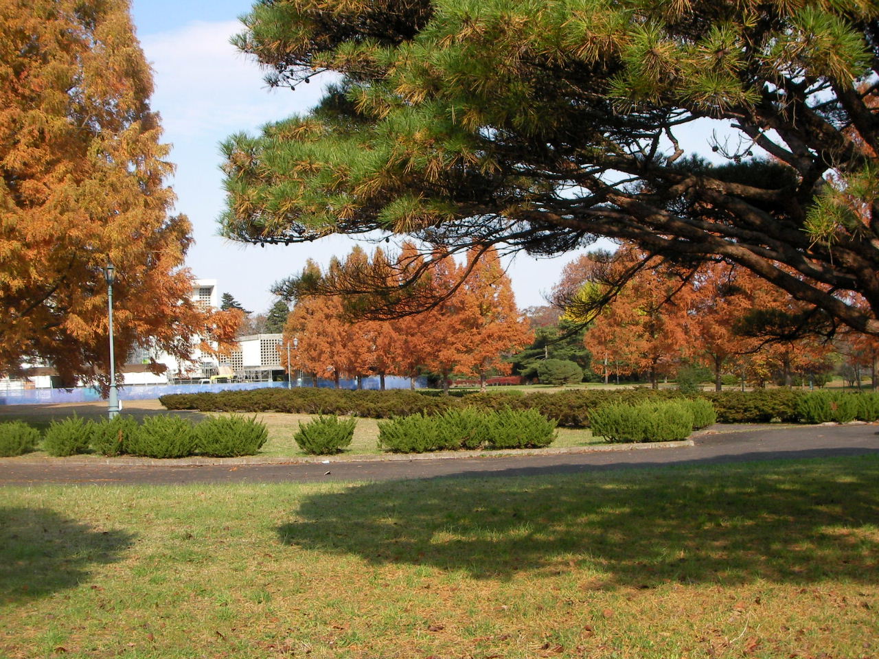 f0100593_20243634.jpg