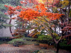 a0061594_254555.jpg