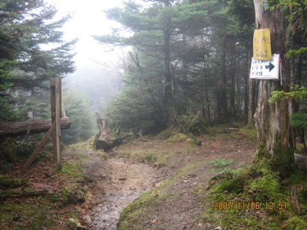 c0147398_23261571.jpg