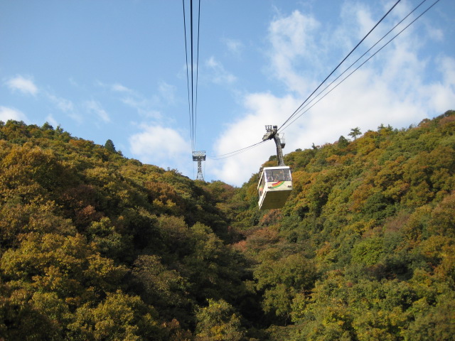 f0013998_5543299.jpg