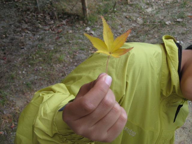 f0013998_5545583.jpg