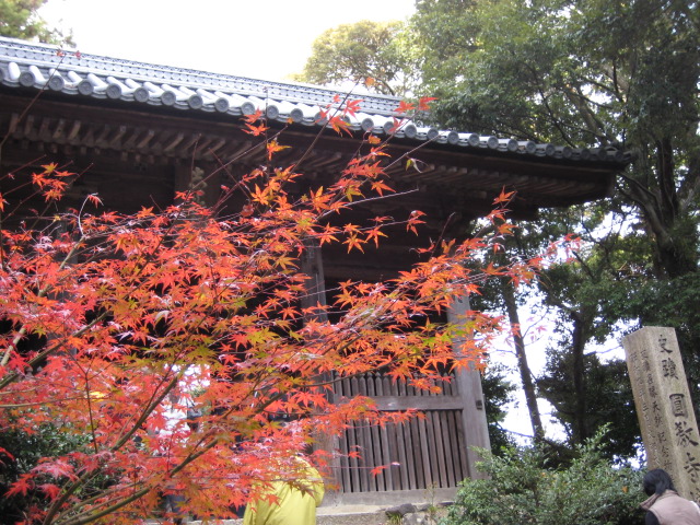f0013998_5551332.jpg