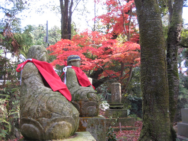 f0013998_5553370.jpg