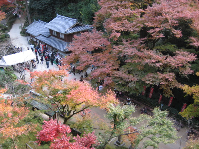 f0013998_5562475.jpg