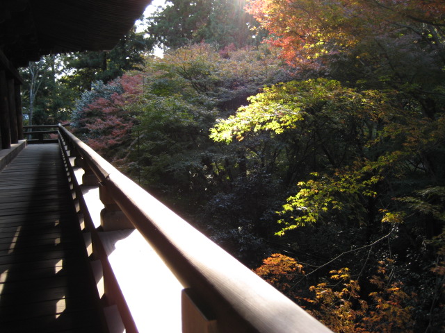 f0013998_5564760.jpg