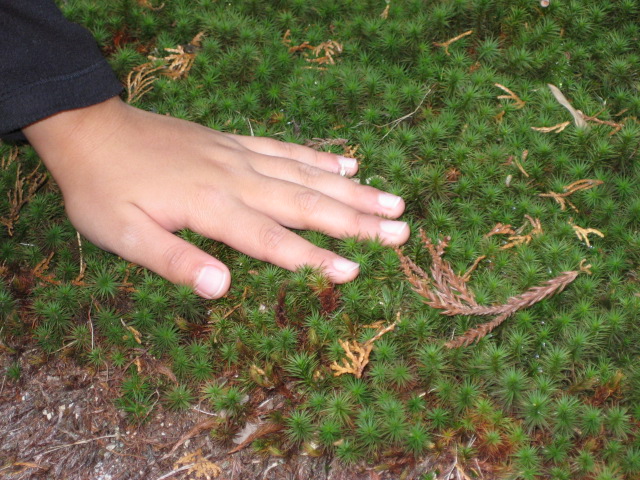 f0013998_5572898.jpg