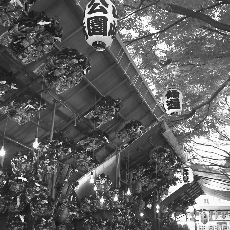 f0109201_1095563.jpg