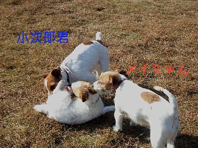 a0051402_21504128.jpg