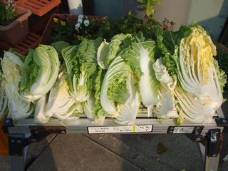c0103205_21565892.jpg