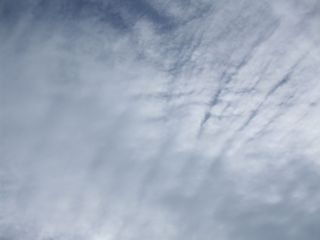 c0103205_21573460.jpg
