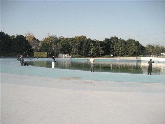 d0126708_2223771.jpg