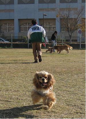 a0064213_20101519.jpg