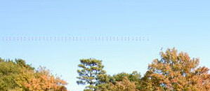 f0046614_1938654.jpg