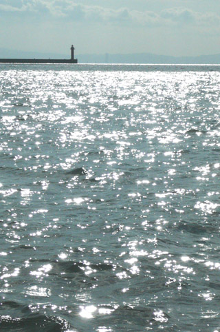 e0083517_1375947.jpg