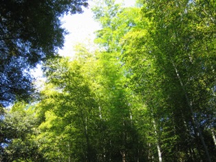 b0083918_22224222.jpg