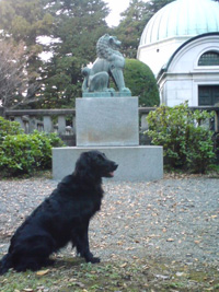 c0012120_022415.jpg
