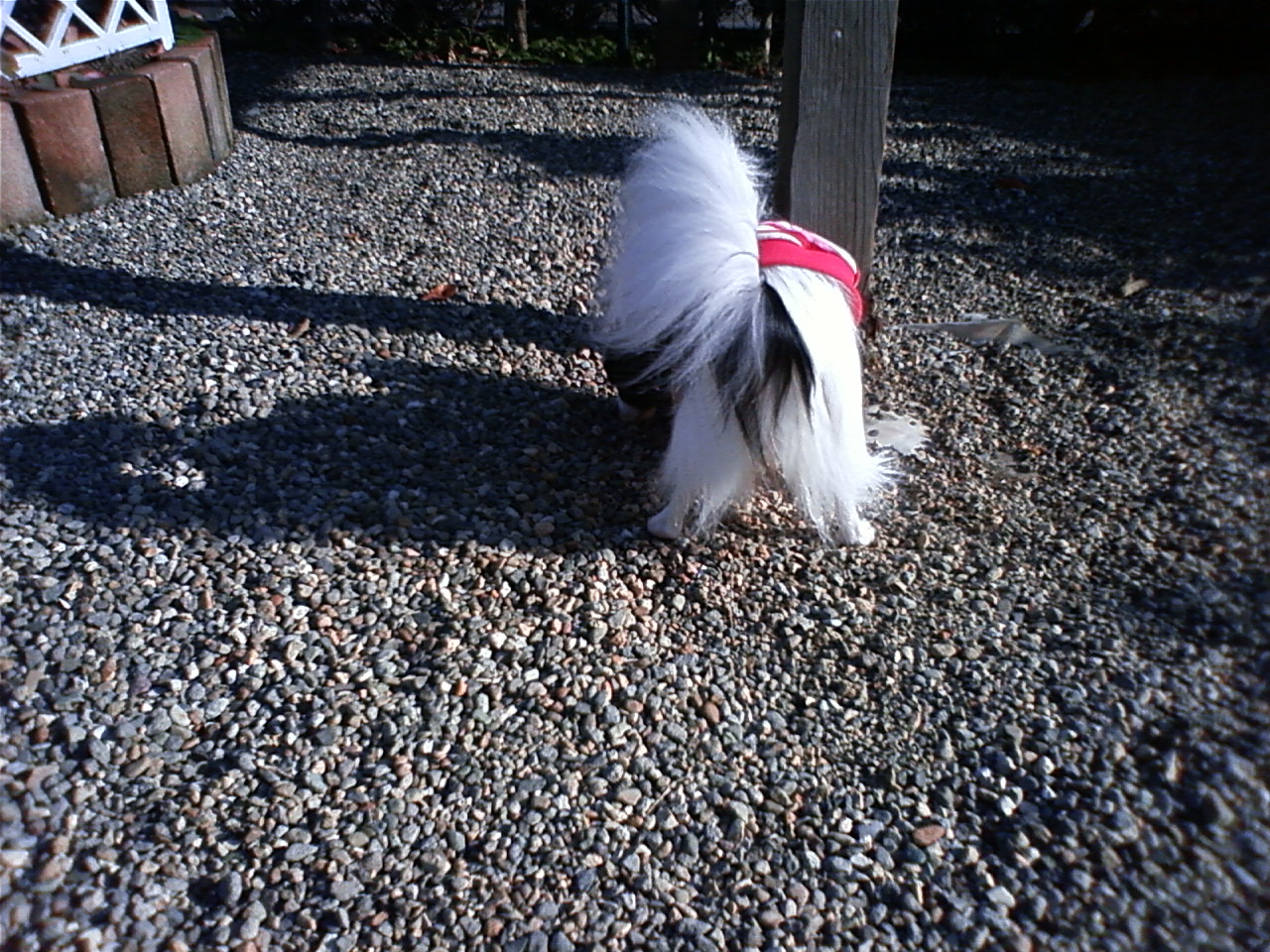 f0135021_1647899.jpg