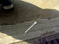 b0026822_21174438.gif