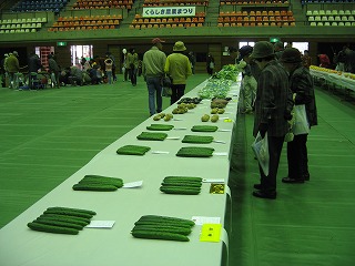d0029822_1553489.jpg