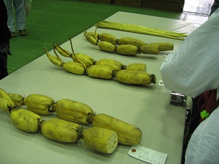 d0029822_15542779.jpg