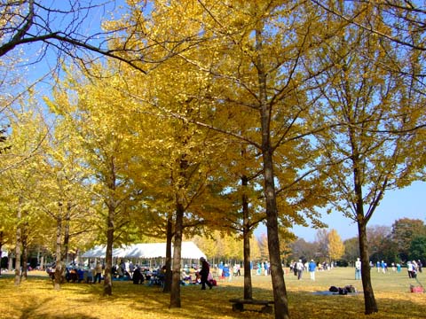 f0147025_1943349.jpg