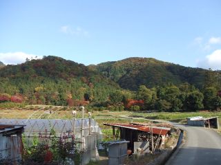 f0149731_23322180.jpg