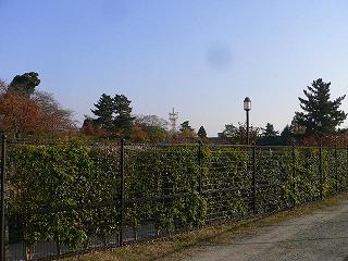 c0150632_2345067.jpg