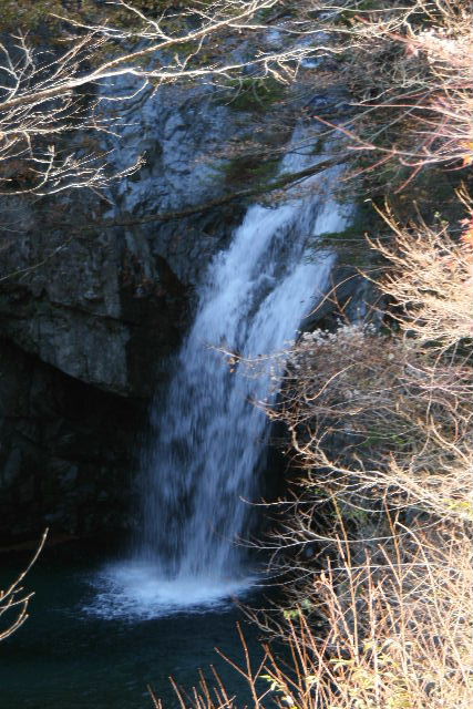 e0064133_1726135.jpg