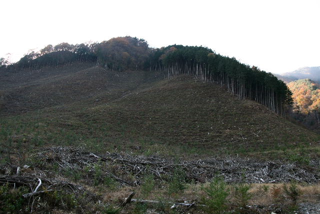 e0064133_17302299.jpg