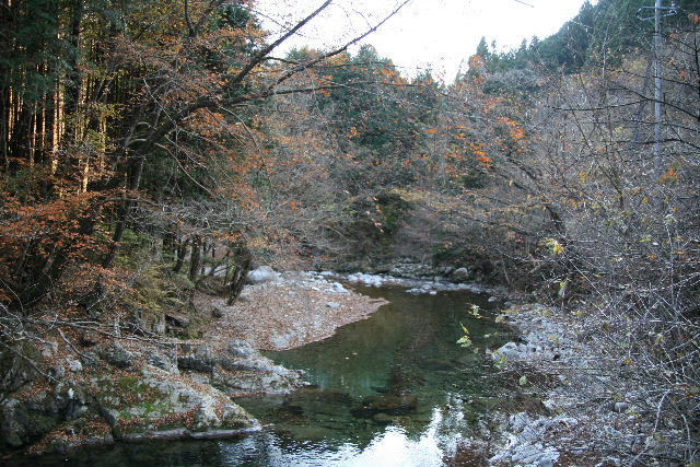 e0064133_17322633.jpg
