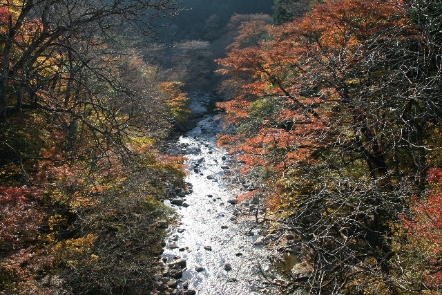 e0064133_17362066.jpg